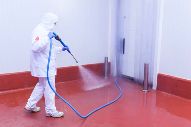 Best Roof Cleaning and Mildew Removal in Columbus Junction, IA